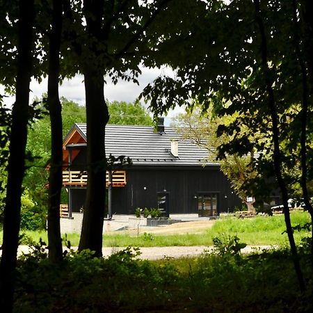 卡齐米日-多尔尼Witoszyn28住宿加早餐旅馆 外观 照片